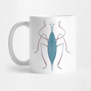 Caelumcorpus gracilipes Mug